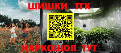 крисы Аргун
