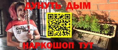 крисы Аргун